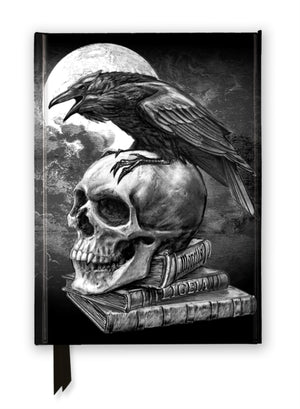 Alchemy: Poe’s Raven (Foiled Journal)