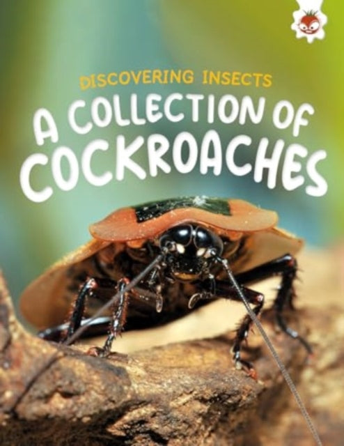 Book cover of: Discovering Insects: A Collection of Cockroaches