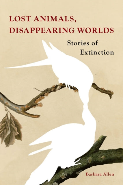 Lost Animals, Disappearing Worlds, Stories of Extinction 9781836390459 Barbara Allen
