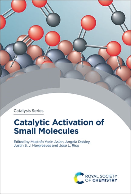Catalytic Activation of Small Molecules