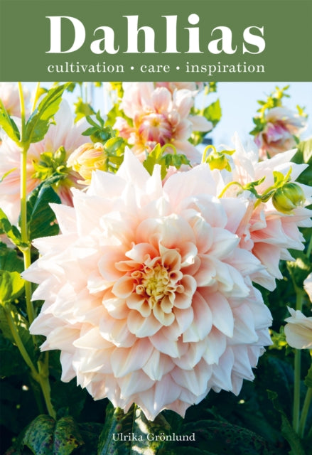 Book cover of: Dahlias. By: Ulrika Gronlund