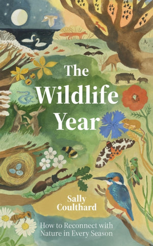 Wildlife Year, How to Reconnect with Nature Through the Seasons
