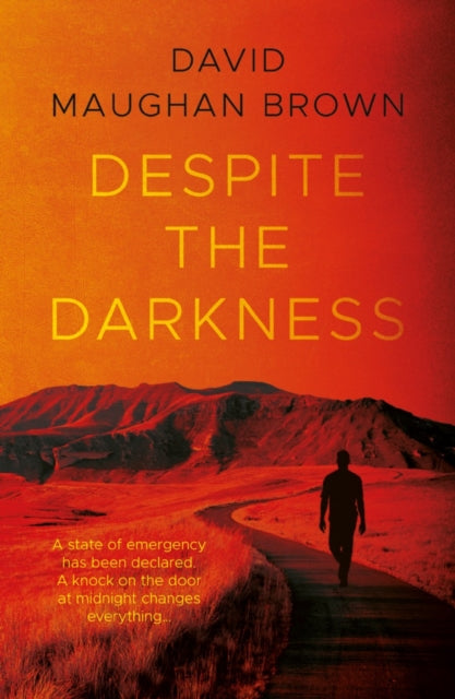 Book cover of: Despite the Darkness. By: David Maughan-Brown