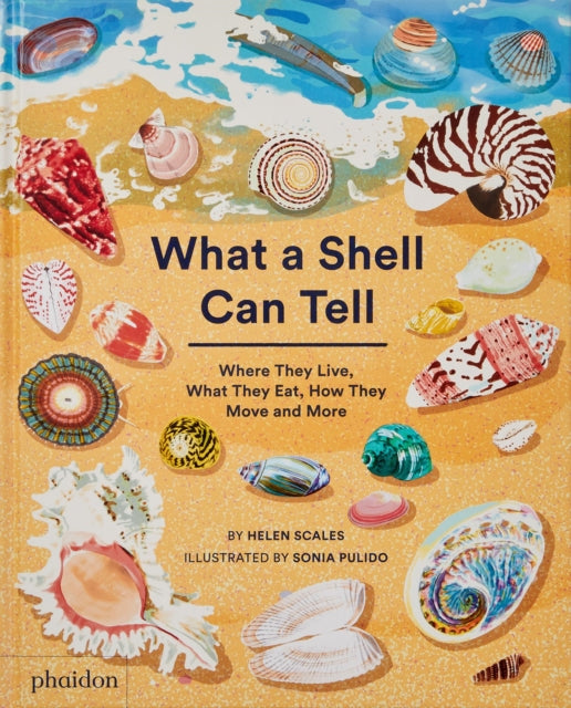 What A Shell Can Tell 9781838664305 Helen Scales
