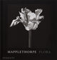 Book cover of: Mapplethorpe Flora. By: Robert Mapplethorpe