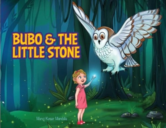 Book cover of: Bubo and the Little Stone. By: Olga Lataonova