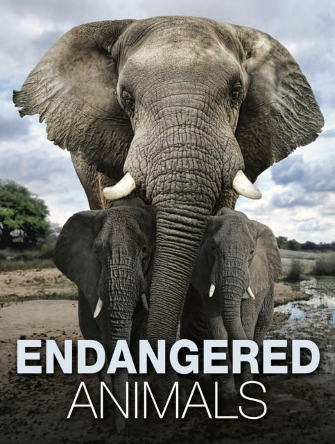Book cover of: Endangered Animals. By: Tom Jackson