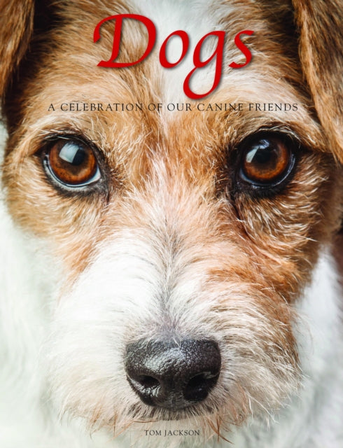 Book cover of: Dogs. By: Tom Jackson