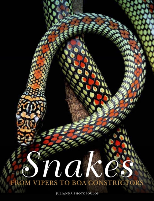 Book cover of: Snakes. By: Julianna Photopoulos