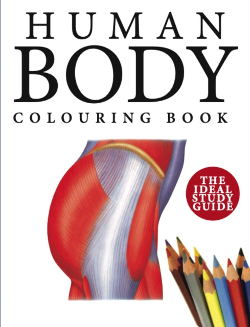 Book cover of: Human Body Colouring Book