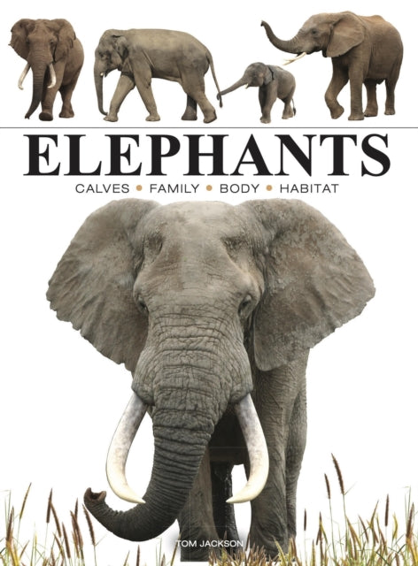 Book cover of: Elephants. By: Tom Jackson