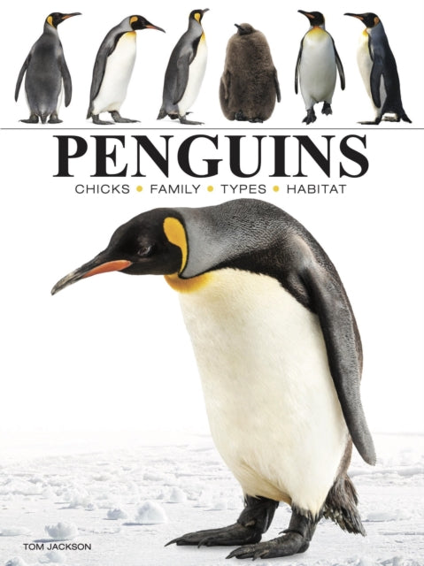 Book cover of: Penguins. By: Tom Jackson