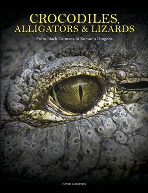 Crocodiles, Alligators & Lizards, From Black Caimans to Komodo Dragons
