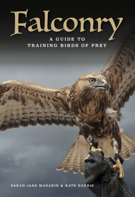 Falconry, A guide to training birds of prey