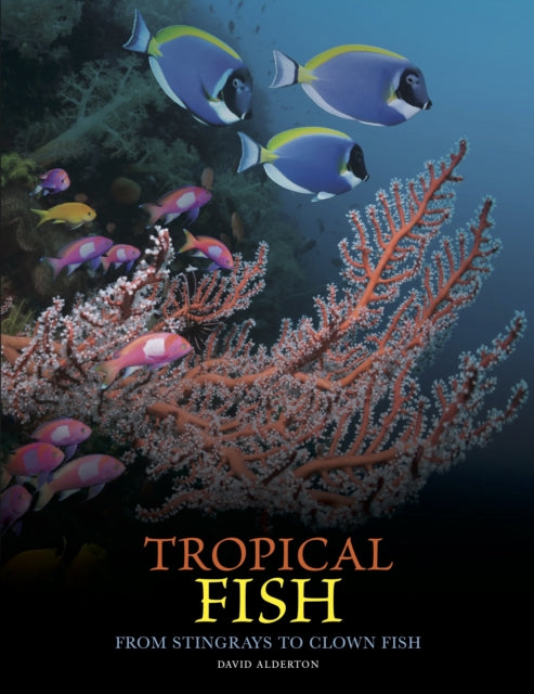 Tropical Fish, From Stingrays to Clown Fish 9781838865511 David Alderton