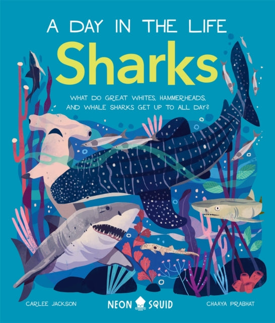 Book cover of: Sharks (A Day in the Life). By: Carlee Jackson