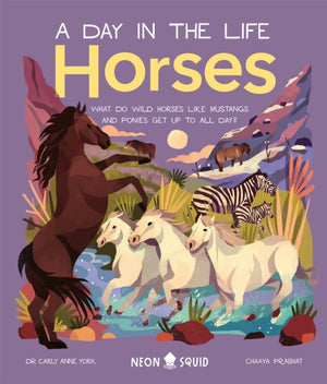 Horses (A Day in the Life), What Do Wild Horses like Mustangs and Ponies Get Up To All Day?