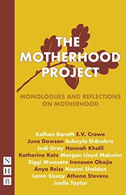 Book cover of: Motherhood Project