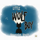 Book cover of: Little Wolf Boy