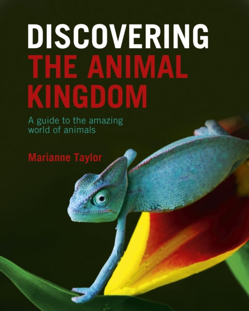 Book cover of: Discovering The Animal Kingdom. By: Marianne Taylor