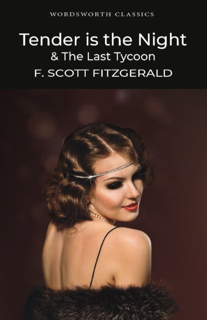 Book cover of: Tender is the Night / The Last Tycoon