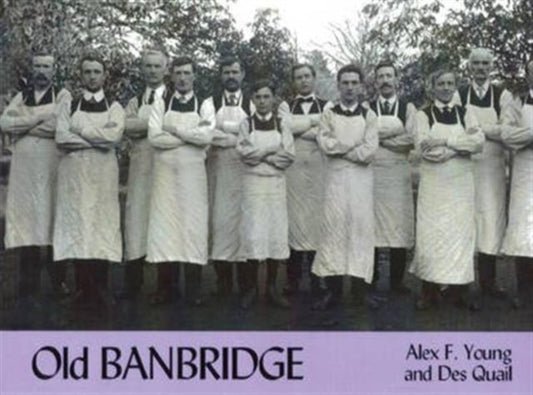 Book cover of: Old Banbridge. By: Alex Young