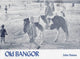 Book cover of: Old Bangor. By: John Hanna