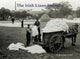 Book cover of: Irish Linen Industry. By: Rose Jane Leslie