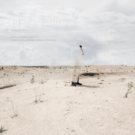 Book cover of: Blind