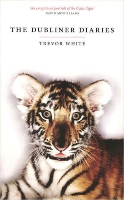 Book cover of: Dubliner Diaries. By: Trevor White