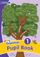 Grammar 1 Pupil Book, In Print Letters (British English edition) 9781844142927 Sara Wernham