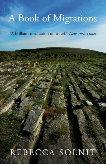 Book cover of: Book of Migrations. By: Rebecca Solnit