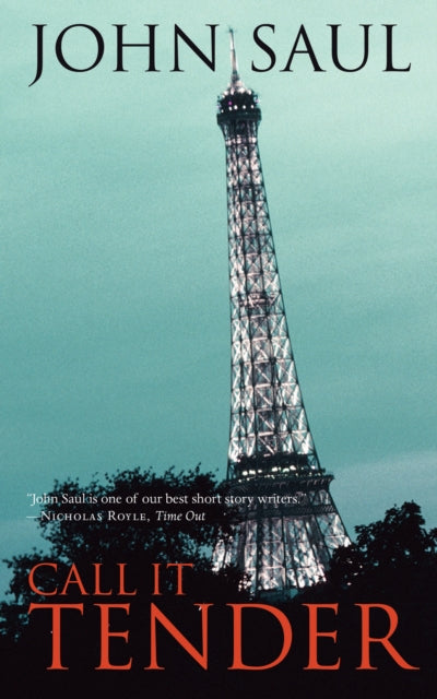 Book cover of: Call It Tender. By: John Saul
