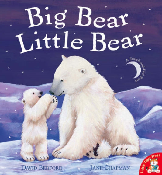 Book cover of: Big Bear Little Bear. By: David Bedford