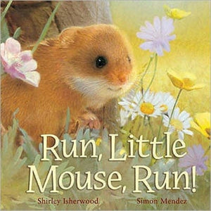 Run, Little Mouse, Run!