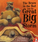 Book cover of: Bears in the Bed and the Great Big Storm. By: Paul Bright