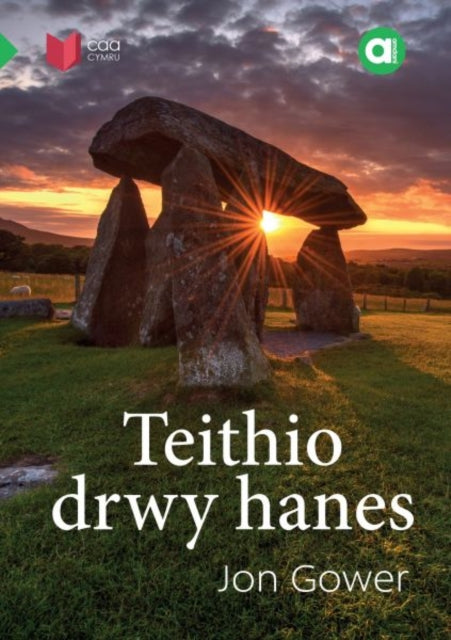 Book cover of: Cyfres Amdani: Teithio drwy Hanes. By: Jon Gower
