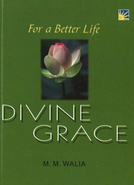 Book cover of: For A Better Life -- Divine Grace