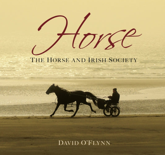 Book cover of: Horse. By: David O'Flynn