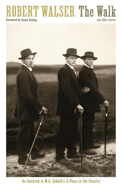 Book cover of: Walk. By: Robert Walser