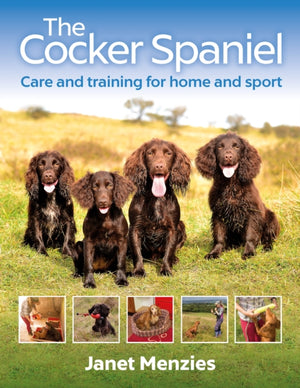 Cocker Spaniel