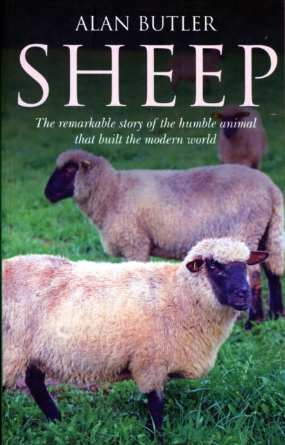Book cover of: Sheep – The remarkable story of the humble animal that built the modern world.. By: Alan Butler