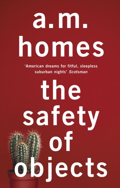 Book cover of: Safety Of Objects. By: A. M. Homes