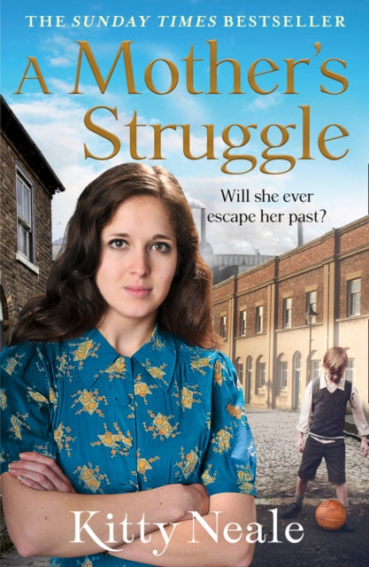 Book cover of: Mother’s Struggle