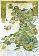 Book cover of: Poster y Mabinogion