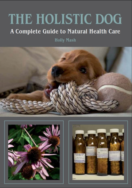 Book cover of: Holistic Dog. By: Holly Mash