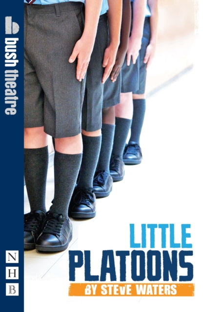 Book cover of: Little Platoons. By: Steve Waters