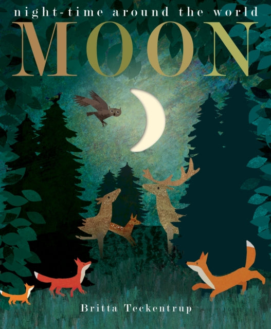 Book cover of: Moon. By: HEGARTY, PATRICIA