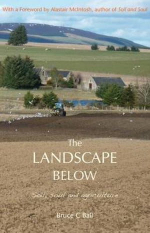 The Landscape Below