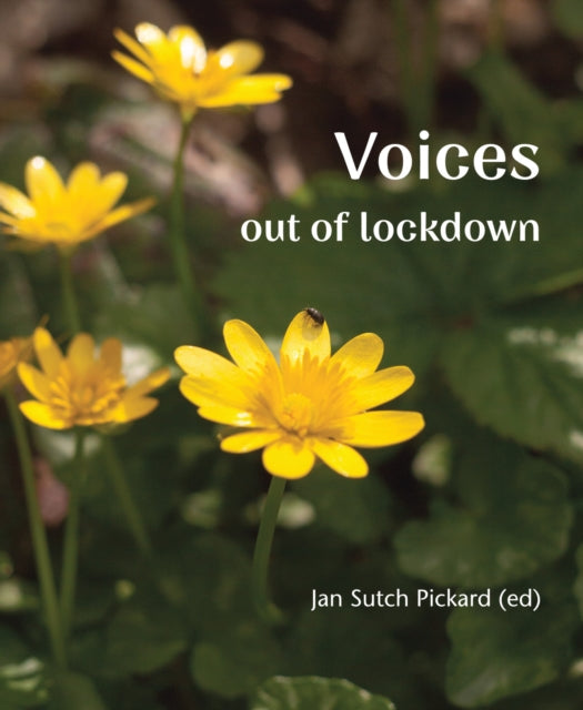 Book cover of: Voices Out of Lockdown. By: Jan Sutch Pickard